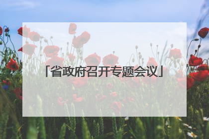 省政府召开专题会议