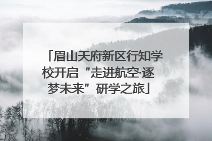 眉山天府新区行知学校开启“走进航空·逐梦未来”研学之旅