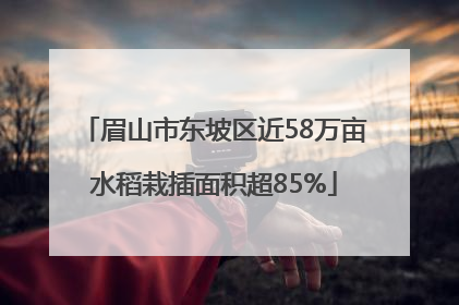 眉山市东坡区近58万亩水稻栽插面积超85%