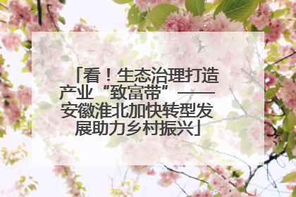 看！生态治理打造产业“致富带”——安徽淮北加快转型发展助力乡村振兴