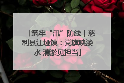 筑牢“汛”防线｜慈利县江垭镇：党旗映溇水 清淤见担当