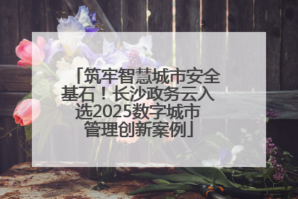 筑牢智慧城市安全基石！长沙政务云入选2025数字城市管理创新案例