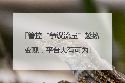 管控“争议流量”趁热变现，平台大有可为