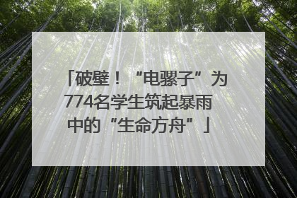 破壁！“电骡子”为774名学生筑起暴雨中的“生命方舟”