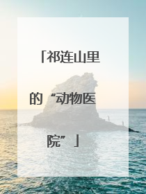 祁连山里的“动物医院”