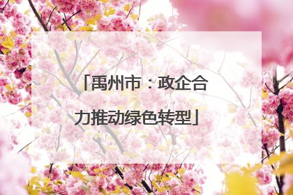 禹州市：政企合力推动绿色转型