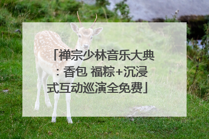 禅宗少林音乐大典：香包 福粽+沉浸式互动巡演全免费