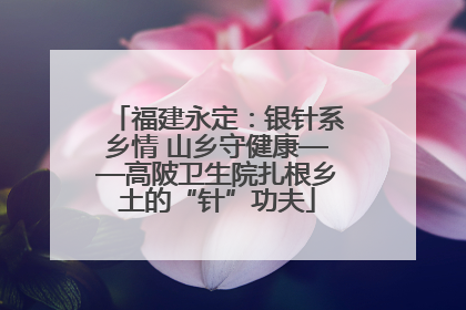 福建永定：银针系乡情 山乡守健康——高陂卫生院扎根乡土的“针”功夫