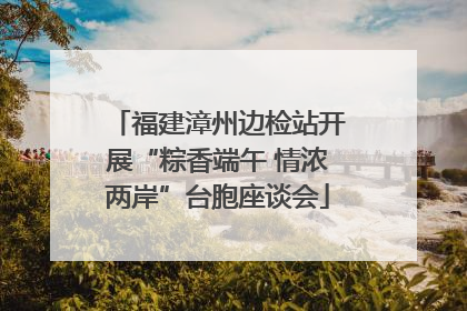 福建漳州边检站开展“粽香端午 情浓两岸”台胞座谈会