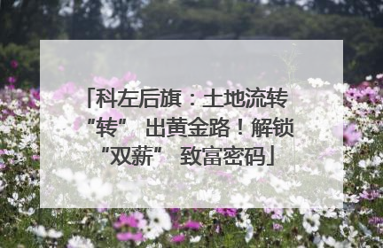 科左后旗：土地流转 “转” 出黄金路！解锁 “双薪” 致富密码