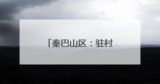 秦巴山区：驻村第一书记“组团服务”促振兴