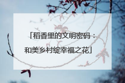稻香里的文明密码：和美乡村绽幸福之花