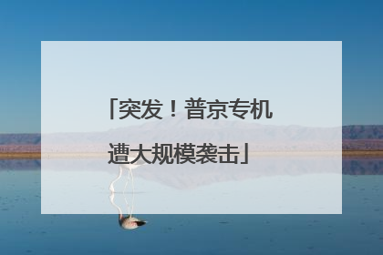 突发！普京专机遭大规模袭击