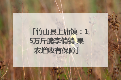 竹山县上庸镇：15万斤脆李俏销 果农增收有保障