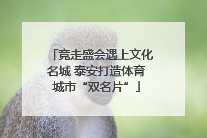 竞走盛会遇上文化名城 泰安打造体育城市“双名片”