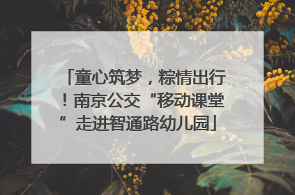 童心筑梦，粽情出行！南京公交“移动课堂”走进智通路幼儿园