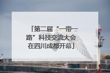 第二届“一带一路”科技交流大会在四川成都开幕