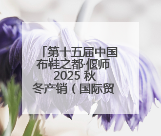 第十五届中国布鞋之都·偃师 2025 秋冬产销（国际贸易）对接会隆重开幕