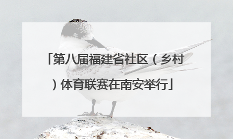 第八届福建省社区（乡村）体育联赛在南安举行