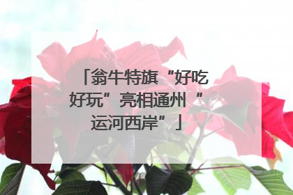 翁牛特旗“好吃好玩”亮相通州“运河西岸”