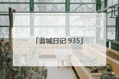 翁城日记 935