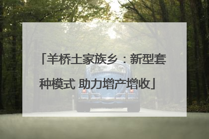 羊桥土家族乡：新型套种模式 助力增产增收