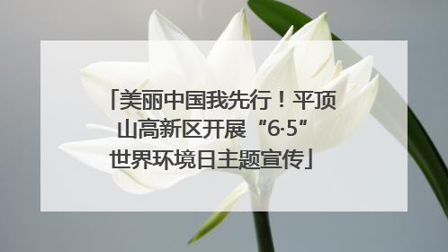 美丽中国我先行！平顶山高新区开展“6·5”世界环境日主题宣传
