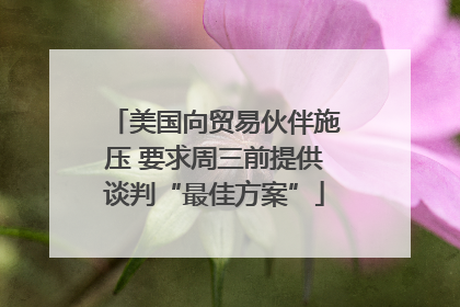 美国向贸易伙伴施压 要求周三前提供谈判“最佳方案”