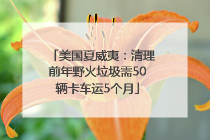 美国夏威夷：清理前年野火垃圾需50辆卡车运5个月