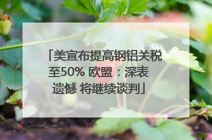 美宣布提高钢铝关税至50% 欧盟：深表遗憾 将继续谈判