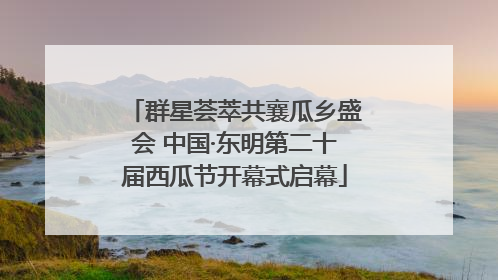 群星荟萃共襄瓜乡盛会 中国·东明第二十届西瓜节开幕式启幕