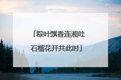 粽叶飘香连湘吐 石榴花开共此时
