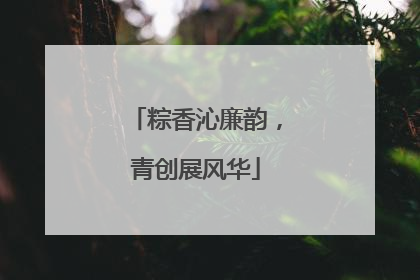 粽香沁廉韵，青创展风华