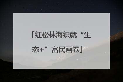 红松林海织就“生态+”富民画卷