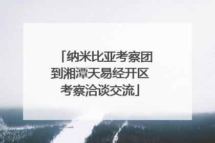 纳米比亚考察团到湘潭天易经开区考察洽谈交流