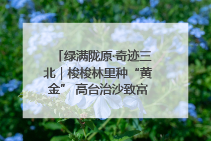 绿满陇原·奇迹三北｜梭梭林里种“黄金” 高台治沙致富很“从容”