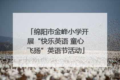 绵阳市金峰小学开展“快乐英语 童心飞扬”英语节活动