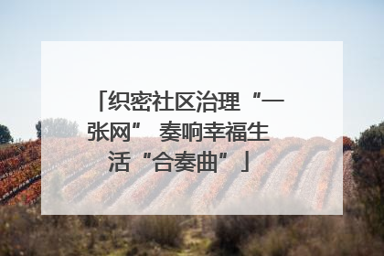 织密社区治理“一张网” 奏响幸福生活“合奏曲”