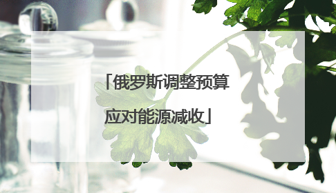 俄罗斯调整预算应对能源减收
