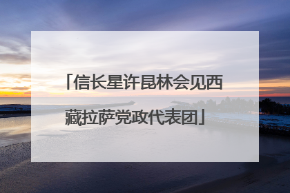 信长星许昆林会见西藏拉萨党政代表团
