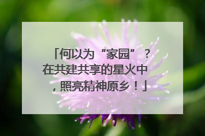 何以为“家园”？在共建共享的星火中，照亮精神原乡！