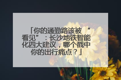 你的通勤路该被 “看见”：长沙地铁智能化四大建议，哪个戳中你的出行痛点？
