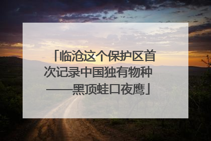 临沧这个保护区首次记录中国独有物种——黑顶蛙口夜鹰
