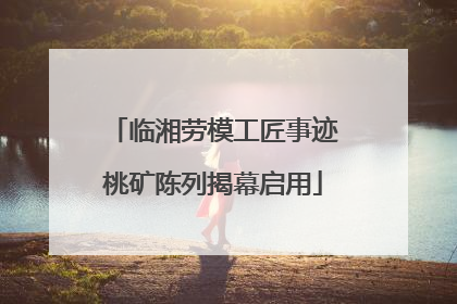 临湘劳模工匠事迹桃矿陈列揭幕启用