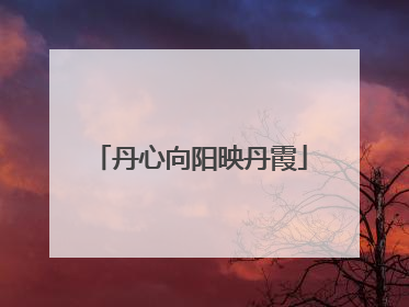 丹心向阳映丹霞