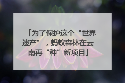 为了保护这个“世界遗产”，蚂蚁森林在云南再“种”新项目