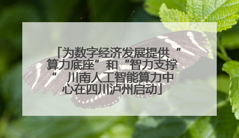 为数字经济发展提供“算力底座”和“智力支撑” 川南人工智能算力中心在四川泸州启动