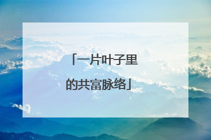 一片叶子里的共富脉络