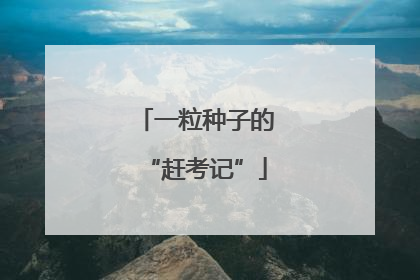 一粒种子的“赶考记”