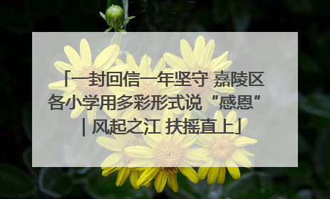 一封回信一年坚守 嘉陵区各小学用多彩形式说“感恩”｜风起之江 扶摇直上